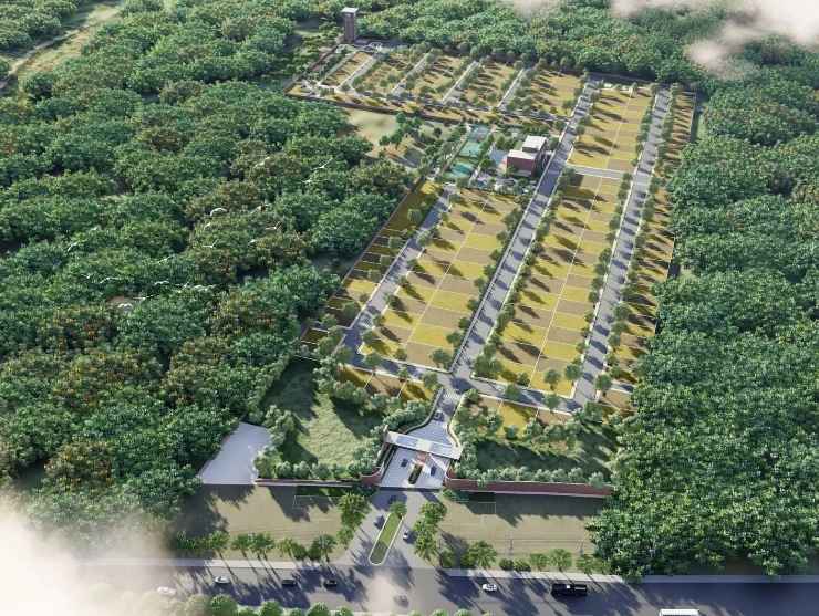 Bricks and Milestones Plots 1