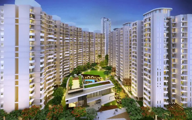 Sipani Codename Sarjafield Banner