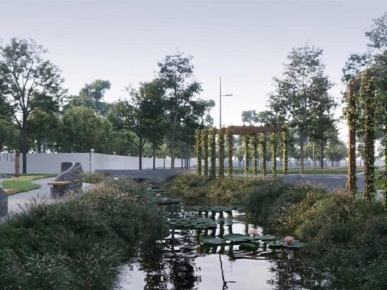 forest in my backyard scaled