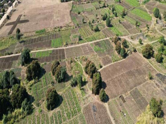 bricks and milestones plots scaled