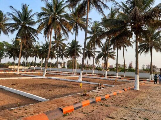 sameera hill view scaled