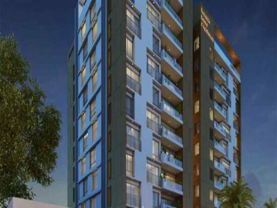 Kumar platinum scaled